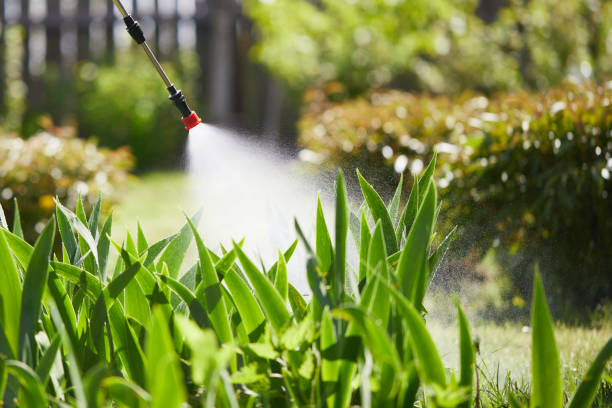 24/7 Emergency Ant Control experts in Canton, IL
